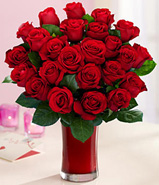 Two Dozen Red Roses