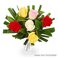 bouqet of roses half dozen mix