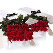 Flat boxes roses three dozen red