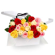 Flat Boxed Roses Two Dozen Mixed