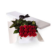 Flat Boxed Roses One Dozen Red