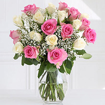 Pastel Fairtrade Roses