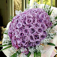 99 Purple Roses