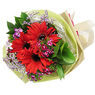 Red Gerbera Bouquet