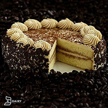 Tiramisu Cake