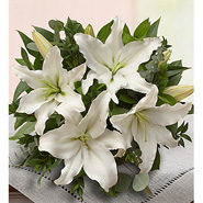White Lily Bouquet DPMD1303