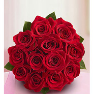Dozen Red Roses DPMD1306