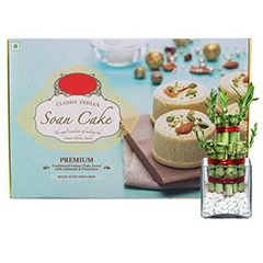 Soan Cake & Lucky Bamboo - Diwali Gifts