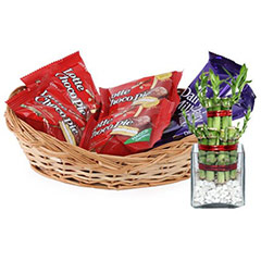 Chocolates & Lucky Bamboo - Diwali Gifts