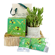 Organic Gift Pack