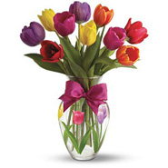 Spring Tulips E09E100B