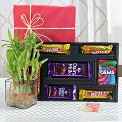 Bhaidooj Goodies Bhaidooj 