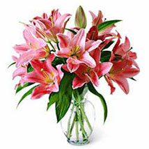 Lily of the valley