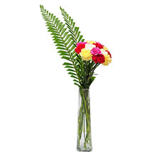 Best wishes arrangement