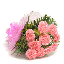 Pink Carnations