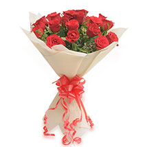 20 Red Roses EXDFNP527