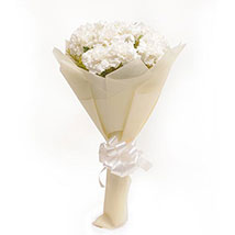 White Carnations