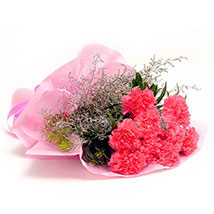 Pink Carnations N Love