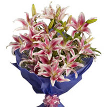 Pink Stargazer Lilies