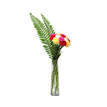 Fathers Day - Best wishes arrangement
