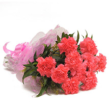 Fathers Day - Carnation Bunch