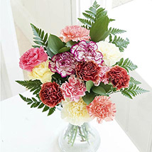 Simply carnations