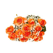 Orange Roses