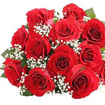Florists Choice - One Dozen Roses-SGPR