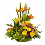 Basket of Mixed Flowers -MAL