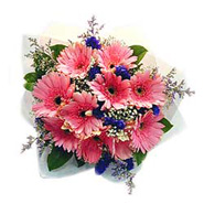 10 Pink Gerberas Bouquet-MAL