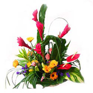 Basket of Mixed Flowers -MAL