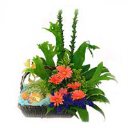 Fruit & Flowers Basket with Pink Gerberas-MAL