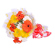 Mix Gerberas