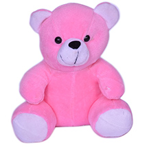 Pink Teddy