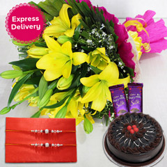 Delightful & Affectionate /></a></div><div class=