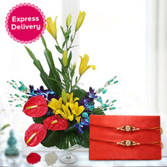 Colorful Surprise for Bro /></a></div><div class=