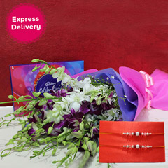 Surprise for Brothers /></a></div><div class=