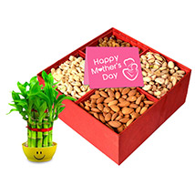 Dry fruit Delights for Mom