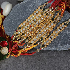 Royal Rakhi Celebration /></a></div><div class=