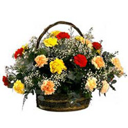 Rainbow Carnation Basket-SA
