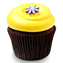 Sunshine Chocolate Cupcakes