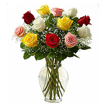 Premium Assorted Roses