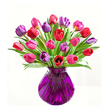 Valentine Tulips