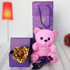 Pink & Purple Present
