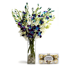 Mothers Day-Admirer