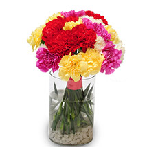 Mothers Day -Sweet Carnations