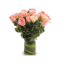Mothers Day -Pink Roses N Vase
