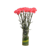 Mothers Day -Pink Carnations N Vase