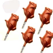 Set of 5 Rose Lollies ( Rose Lollies )