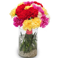 Sweet Carnations